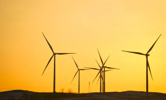 Community Sues to Limit Operation of 100-Turbine Wind Farm on Environmental Grounds
