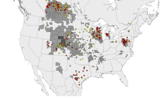 CDC Responds to New Concerns Over ‘Zombie Deer Disease’