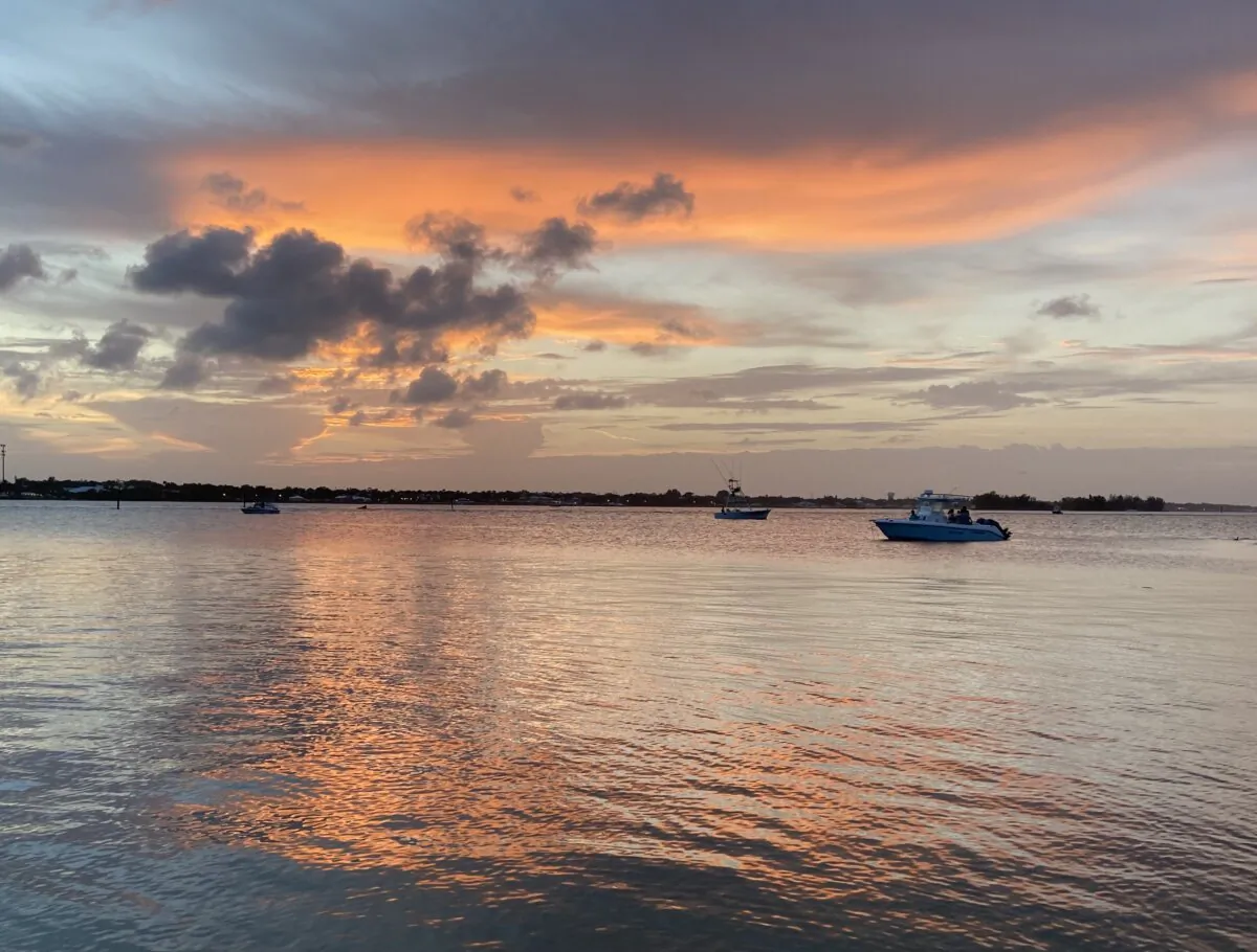 Florida's Indian River Lagoon accounts for 27 percent of the state's salt marshes, 685 species of fish, 370 species of birds, 2,200 animal species, and 2,100 plant species. (Courtesy of Florida State Parks)