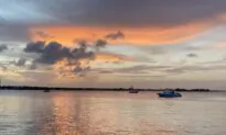 DeSantis Awards $100 Million to Protect North America’s ‘Most Biologically Diverse’ Estuary