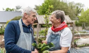 What Gardening Can Teach Us About Living