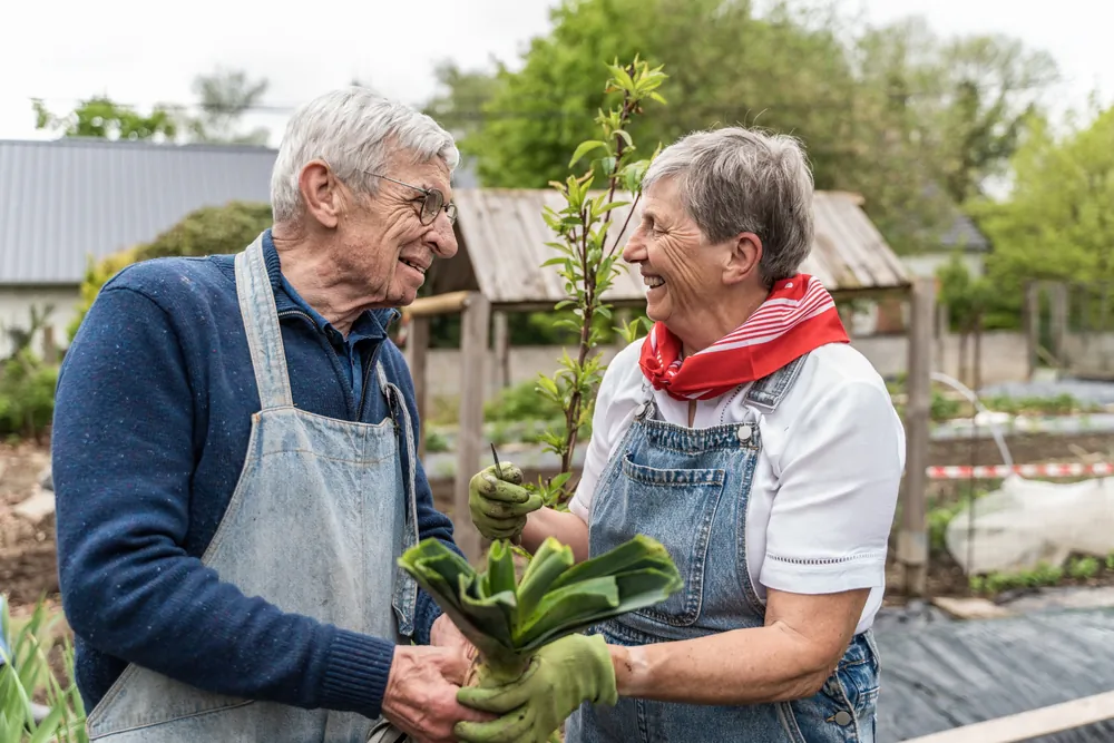 Winter is a good time to reflect on lessons from the past year's harvest—and plan for the season to come.
(Lomb/Shutterstock)