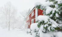 How Do I Make My House Snowstorm Ready?