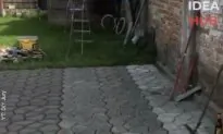 Laying a DIY Concrete Walkway