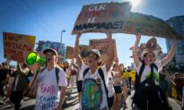 Radical Environmentalism: Some Green Prescriptions Without State Authoritarianism (Part 2)