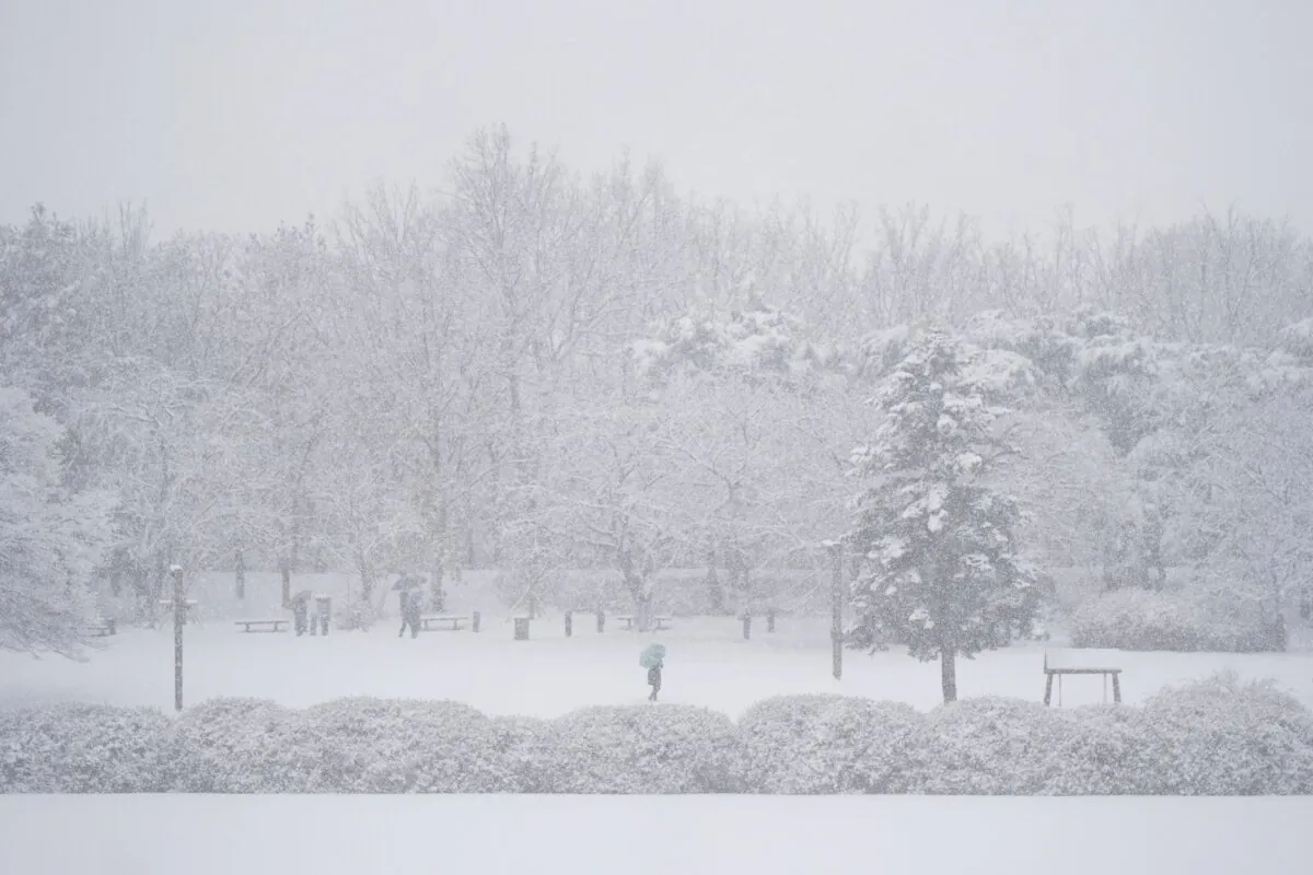 Visitors walk through the snow in Goyang, South Korea, on Dec. 30, 2023. (Lee Jin-man/AP Photo)