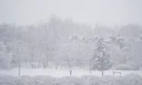 South Korea’s Capital Records Heaviest Single-Day Snowfall in December for 40 Years