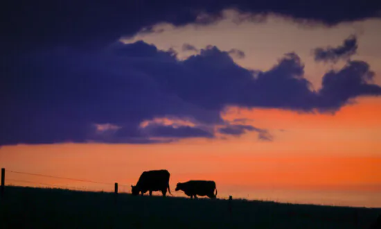 Alberta Eyeing Water-Sharing Deals as It Plans for Major Drought This Year