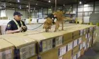 Detector Dogs Could Help Sniff out More Fentanyl, Firearms at Border, Review Suggests