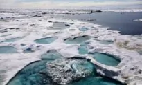 Canada Pledges to Work With US Over Competing Claims to Arctic Sea Floor