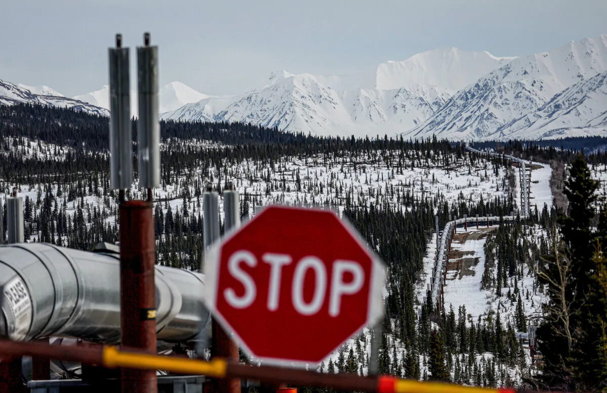 A part of the 800-mile Trans Alaska Pipeline System runs through boreal forest past Alaska Range mountains near Delta Junction, Alaska, on May 5, 2023. (Mario Tama/Getty Images)