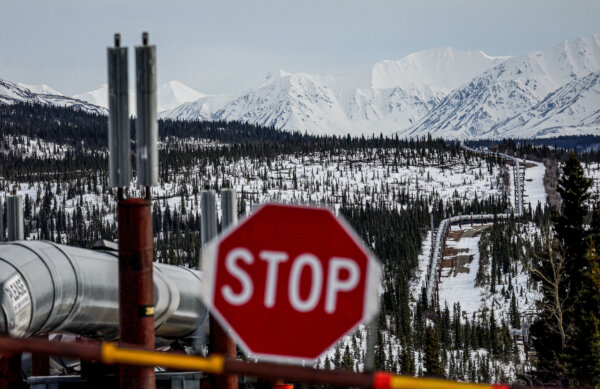 Interior Dept. Proposes Opening Up 82 Percent of Alaskan Petroleum Reserve