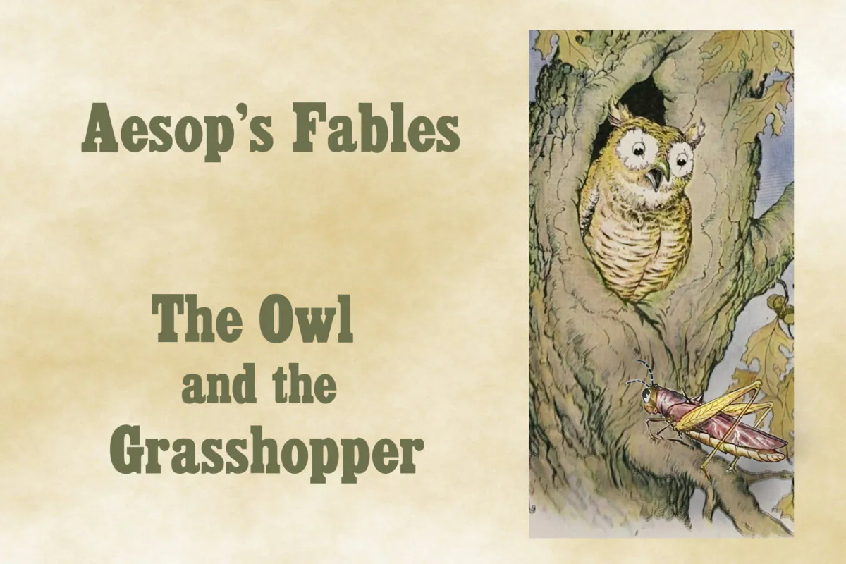 "The Owl and the Grasshopper," illustrated by Milo Winter, from “The Aesop for Children,” 1919. (PD-US)