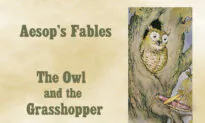Aesop’s Fables: A Foolish Grasshopper Gets Taken In by an Owl’s Flattering Words