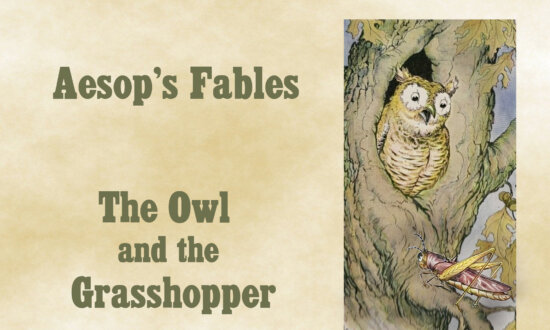 Aesop's Fables: A Foolish Grasshopper Gets Taken In by an Owl's Flattering Words