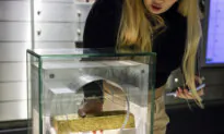 2024 Economic Preview: What Expected Rate Cuts Amid Gold’s Rise Might Mean