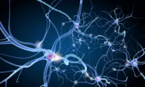 Researchers Identify Potential Precursors to Multiple Sclerosis