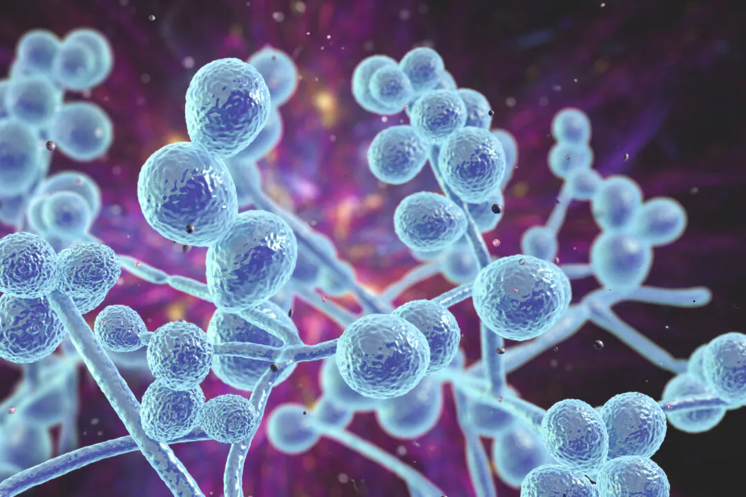 A growing body of evidence suggests that neurodegenerative diseases may have a microbial cause. (Kateryna Kon/Shutterstock)