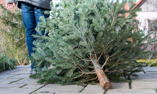 What Do I Do With All My Holiday Stuff?