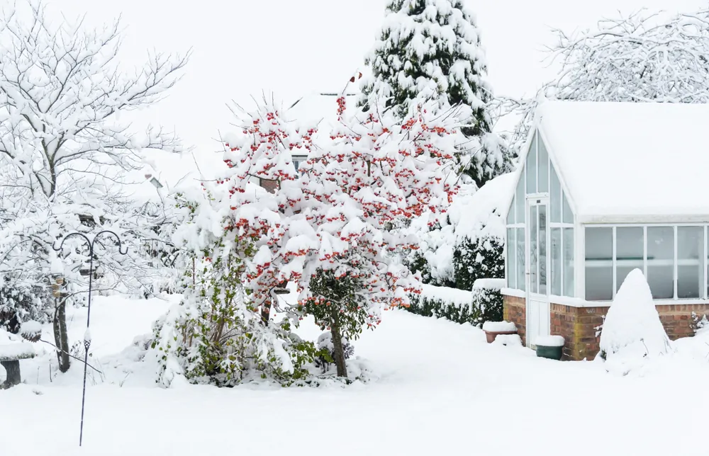It’s cold outside, but winter is an excellent time for garden maintenance and prep so that it's ready to go come the spring thaw. (Andrew Fletcher/Shutterstock)