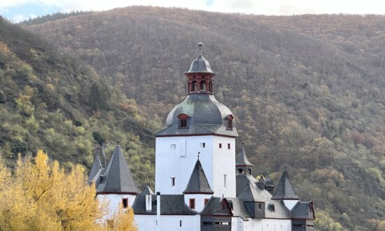 Castles on the Rhine Gorge