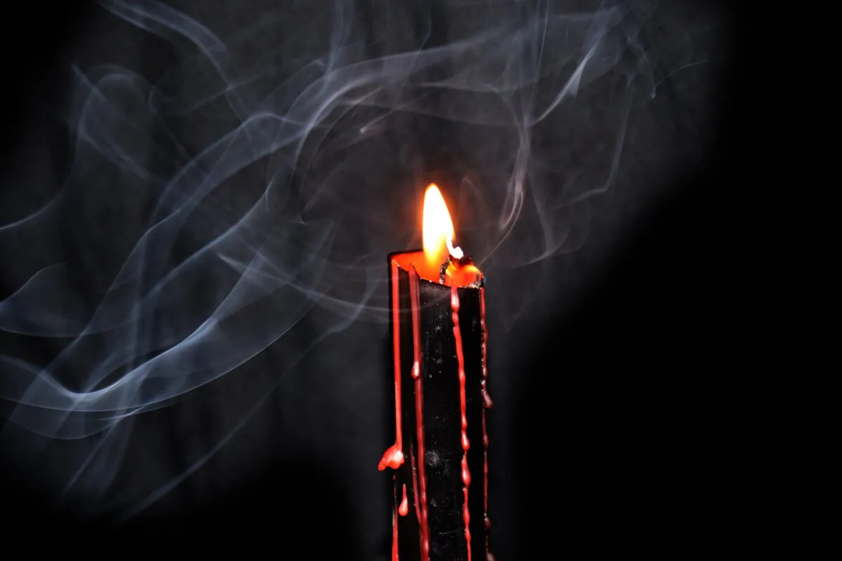 (Nakaya/Shutterstock)
