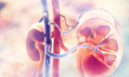7 Common Medications Harmful to Kidneys and Warning Signs of Renal Damage