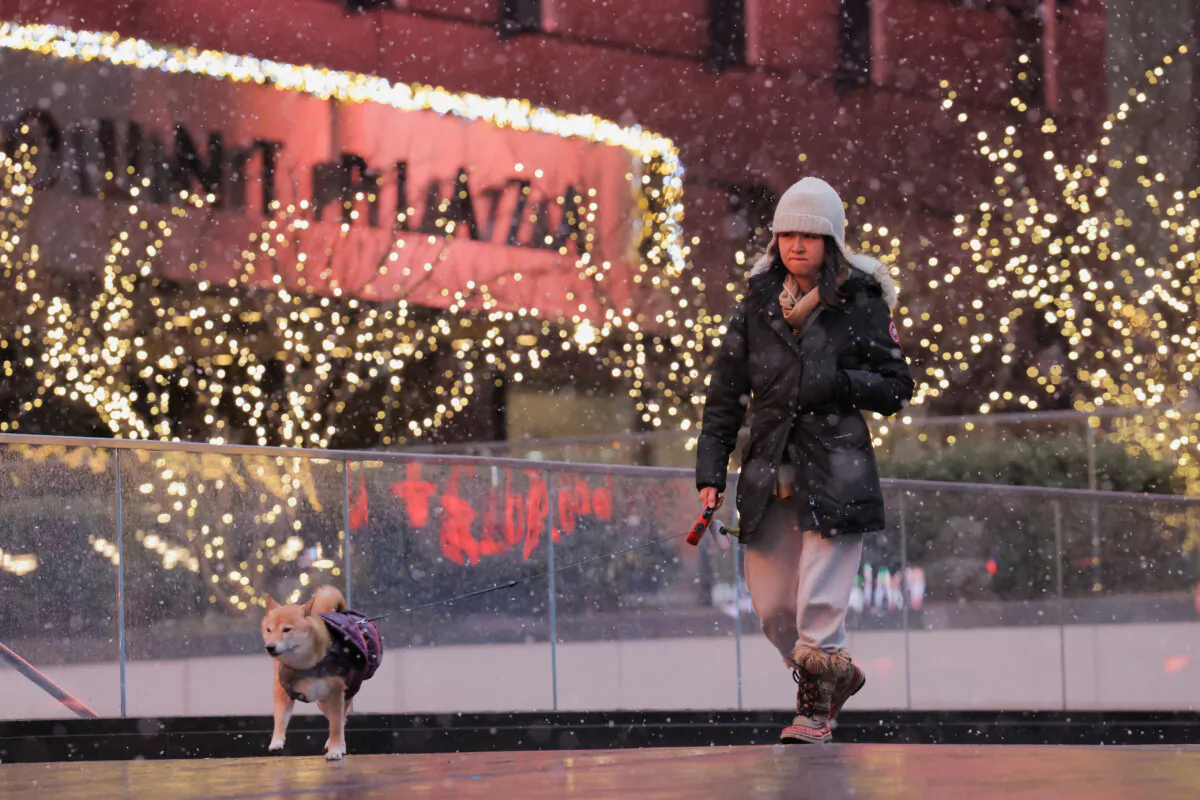 A person walks a dog as snow falls in Manhattan, New York City, on Jan. 6, 2024. (Andrew Kelly/Reuters)