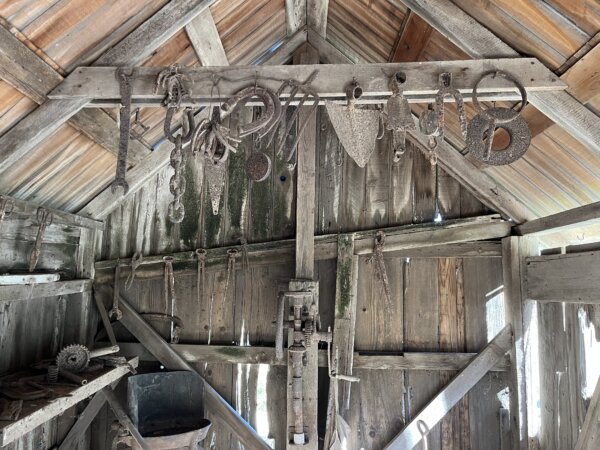The blacksmith's shed at Scorpion Ranch on Santa Cruz Island, the Channel Islands. Workers and ranchers at Scorpion Ranch had to be completely self-sufficient because of their remote location, far away from the mainland. (ATTRIB)