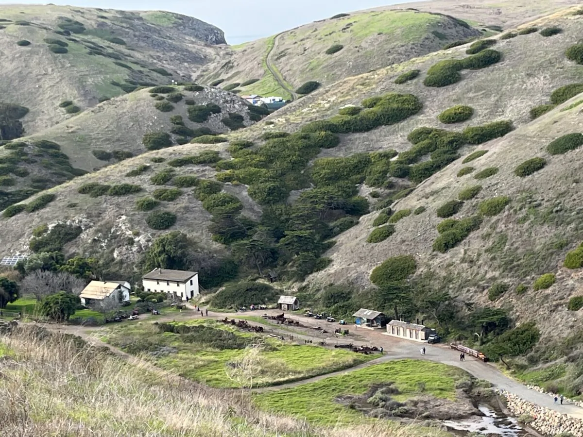 The remains of the historic Scorpion Ranch site on Santa Cruz Island. (Deena Bouknight)