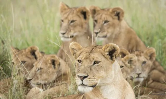 How to Develop Leaders at Every Level