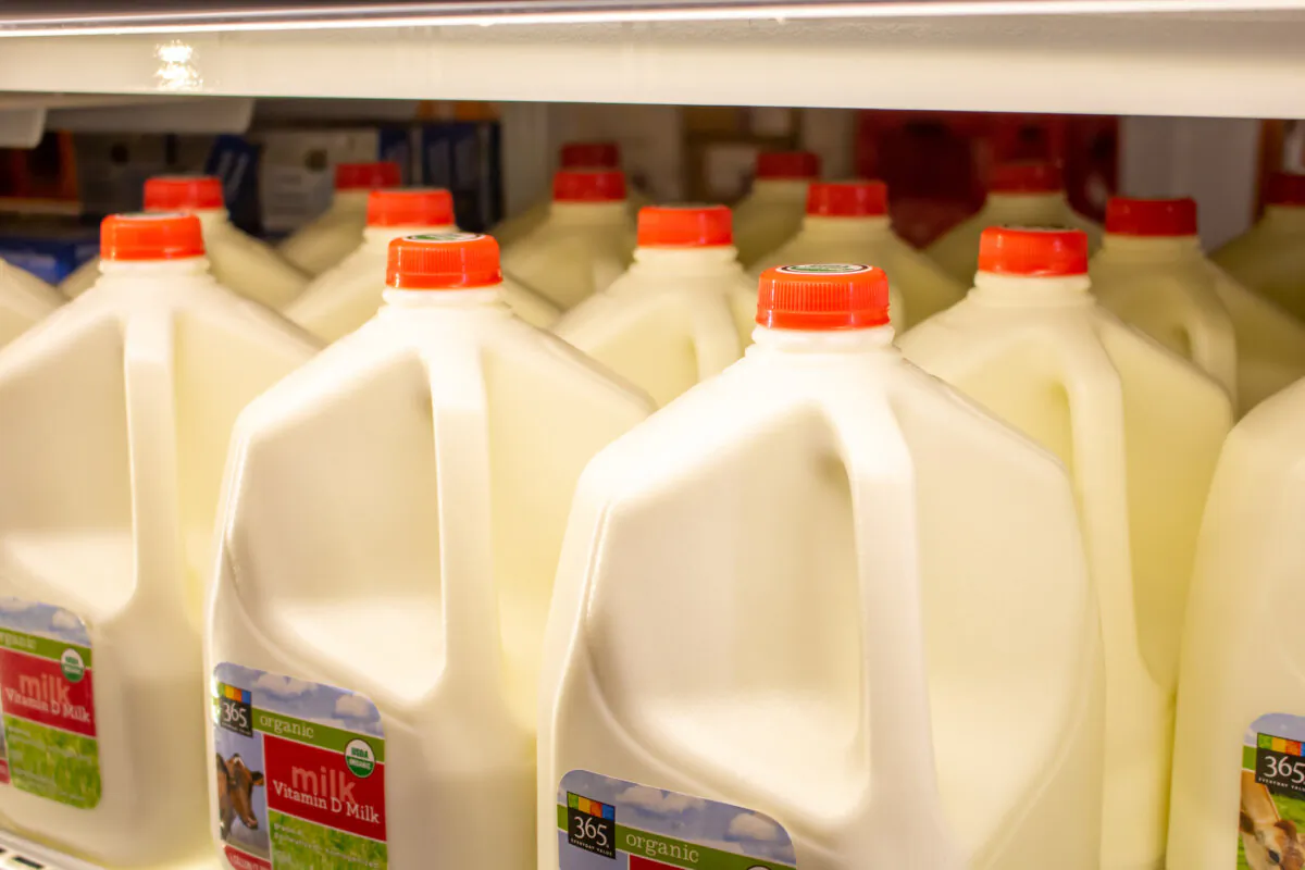 Whole milk isn't actually bad for you. (Dreamstime/TNS)