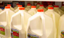A Discussion About Fat Content in Milk
