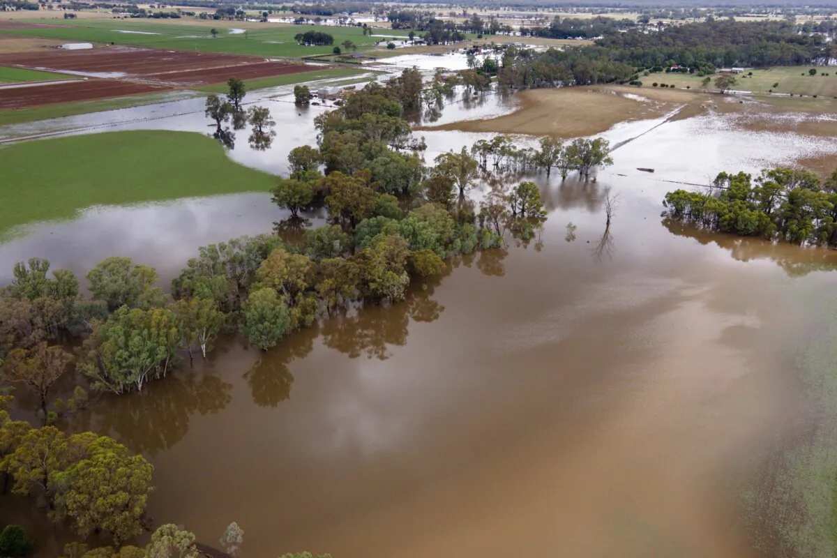 Farm land is flooded near Bendigo, Australia, on Jan. 8, 2024. (Diego Fedele/AAP Image via AP)