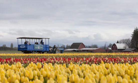 6 Best Farm Tours in the Western US Include a Napa Valley Entry