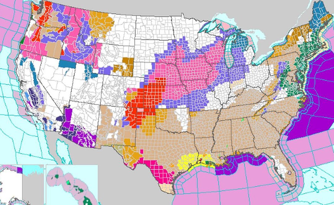 49 States Under Weather Alerts as Powerful Winter System Crosses US ...