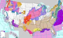 49 States Under Weather Alerts as Powerful Winter System Crosses US
