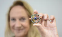 Woman Buys a $25 Brooch, but It Turns out to Be a Rare Victorian Treasure That Could Be Worth $19,000