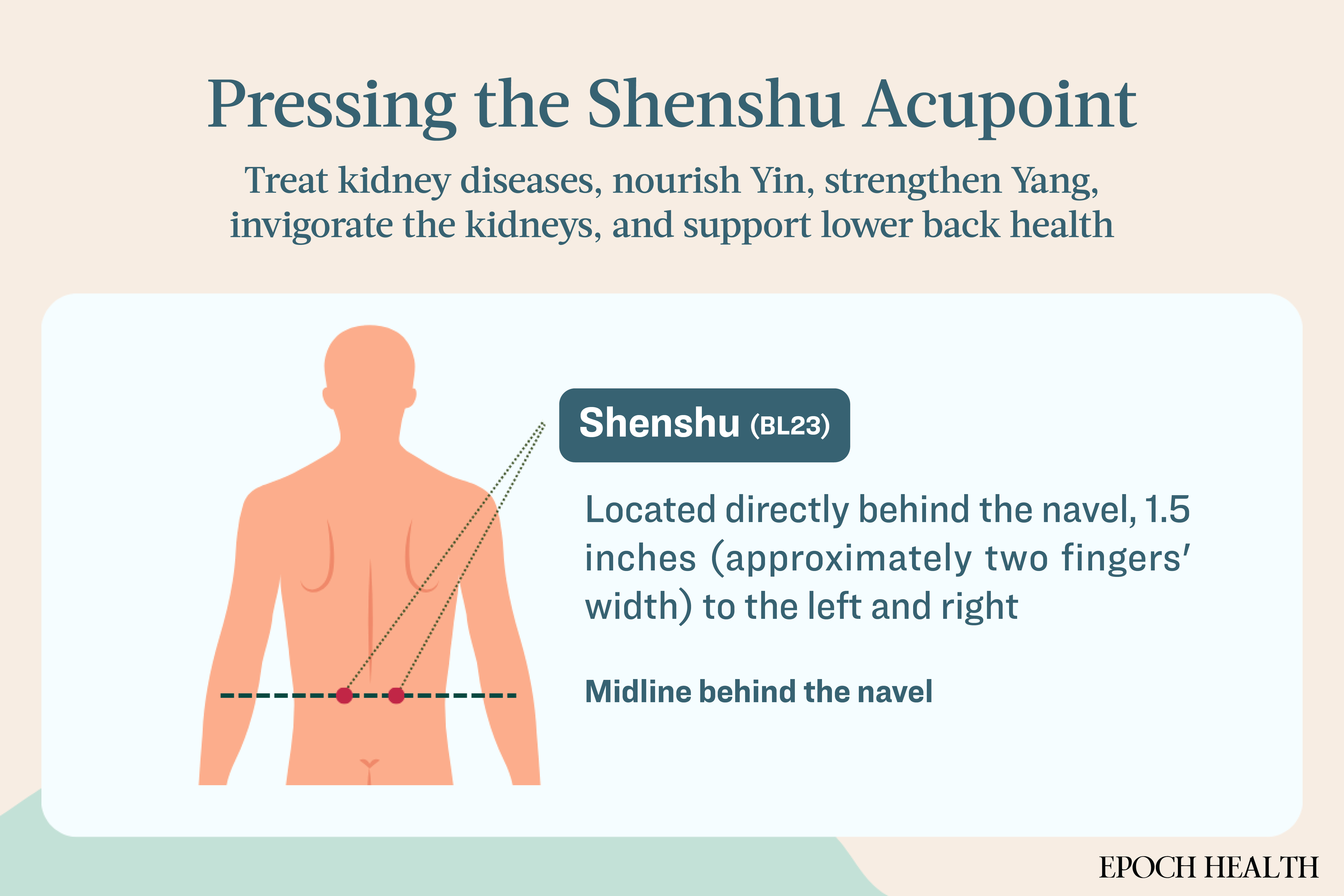 Rubbing the Shenshu acupoint aids in treating kidney-related conditions. (The Epoch Times)