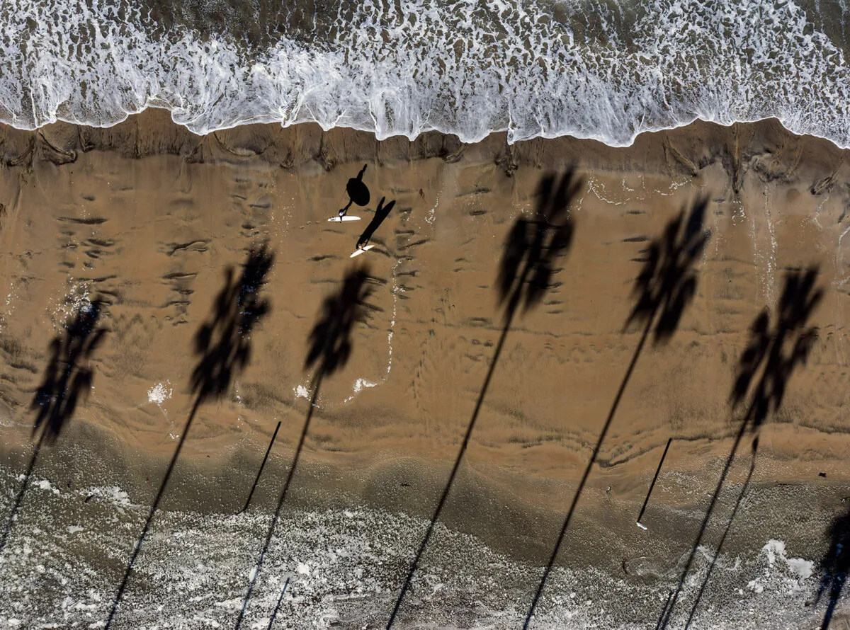 Shadows of surfers and palm trees on the wet sand at La Jolla Shores after high surf and higher than average tides brought water up to the break wall on Nov. 27, 2023. (K.C. Alfred / The San Diego Union-Tribune)
