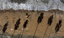 A San Diego Bucket List of Places to Spend Time Outdoors in 2024