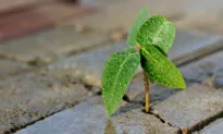 ‘What Can I Do?’ Why Building Resilience Is Key to Better Well-Being