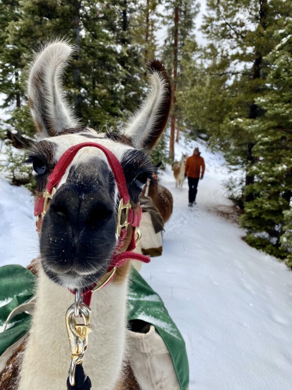Epoch Times Photo