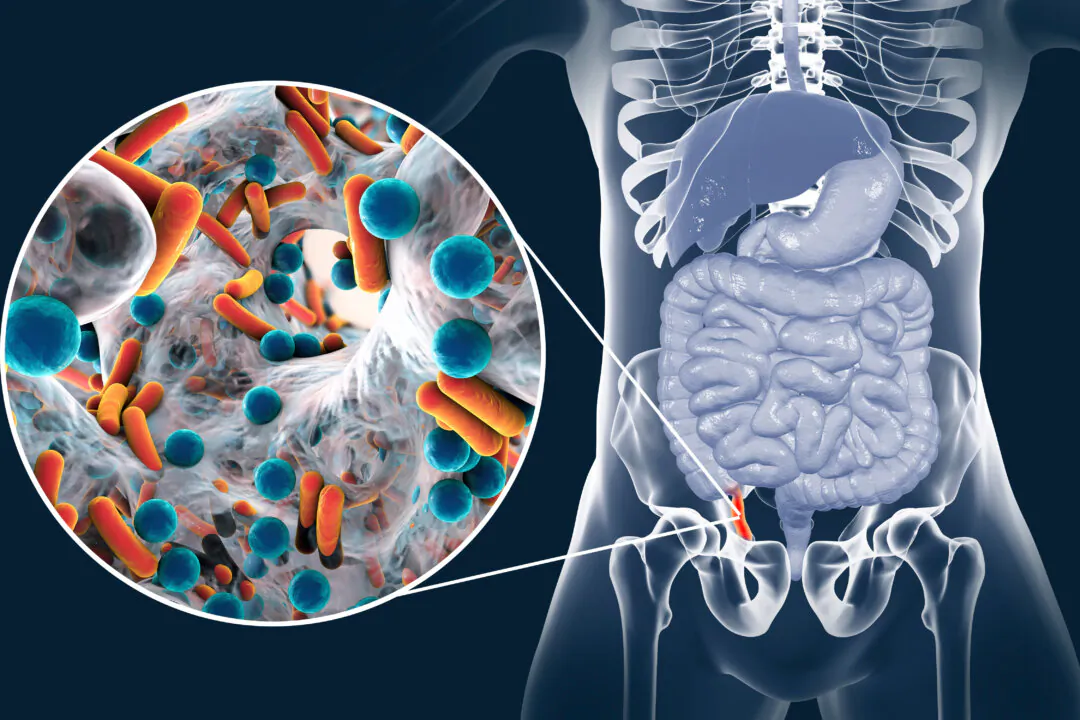 Study by study, evidence shows there's purposes for the appendix wrapped up in our immune and gut microbiome health. (Shutterstock)