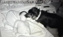 Camera Catches Dog Doing the Sweetest Thing for His 8-Year-Old Sick Best Friend: VIDEO