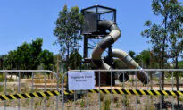 7 Sydney Schools Tested for Asbestos Contamination in Garden Mulch