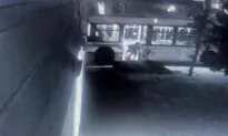 Security Footage Shows Motorists Driving Past Man Who Froze to Death After Falling Off Bus