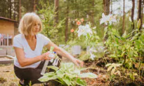 Gardening Improves Sleep Quality in Adults: Study
