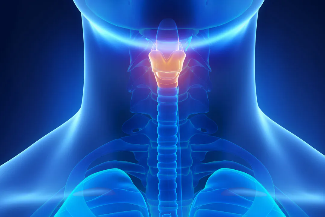 Larynx x-ray anatomy blue （CLIPAREA l Custom media/Shutterstock）