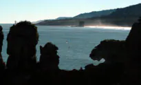 New Zealand Government Will Fast-Track New Mines